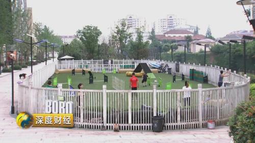 想收养狗狗的看这里_萌宠经济市场规模_宠物消费升级趋势