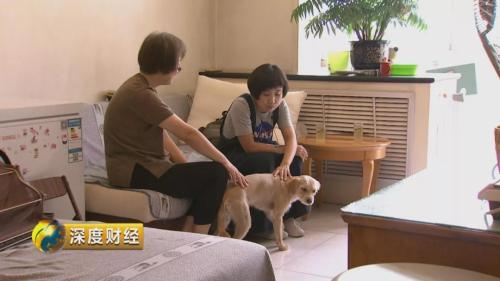 想收养狗狗的看这里_萌宠经济市场规模_宠物消费升级趋势