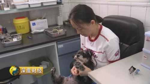 宠物消费升级趋势_想收养狗狗的看这里_萌宠经济市场规模