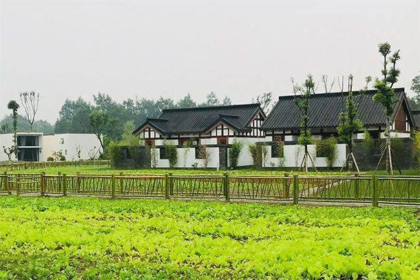 短途旅游高频次出行_微度假目的地类型_新型旅游网站热地带的案例