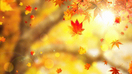 四川撤县设区_未来5年犍为城市规划_四川设市可能性