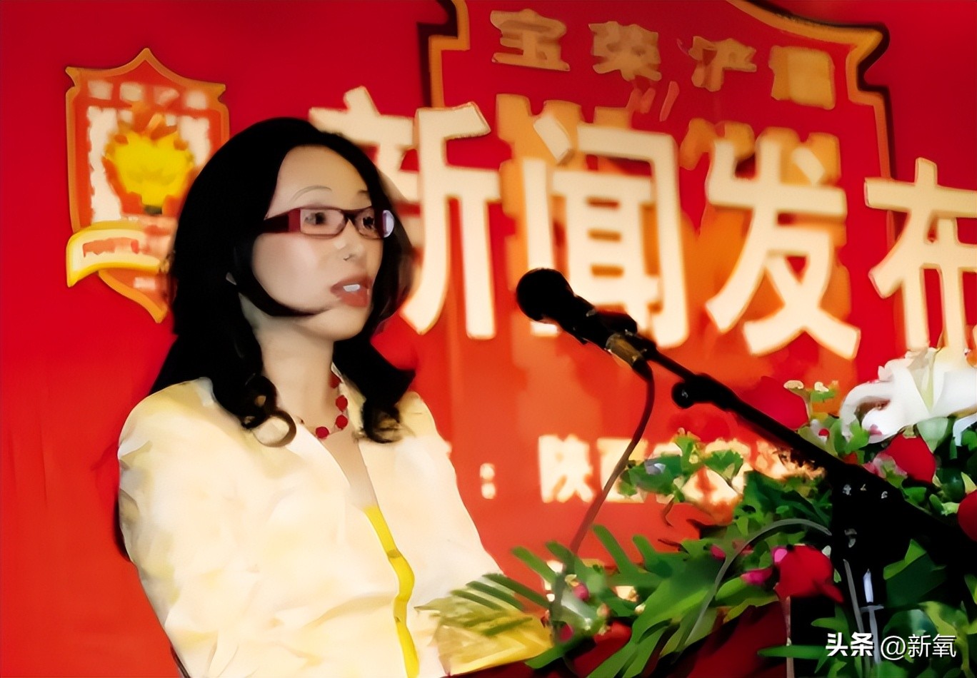 戴秀丽霍肯离婚细节_戴秀丽 戴永革背景_戴秀丽霍肯离婚原因