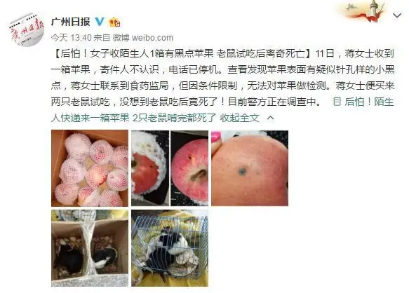 蒙被综合征 女司机责任 奔驰车主阻挠_成都奔驰女司机接娃堵路十几分钟