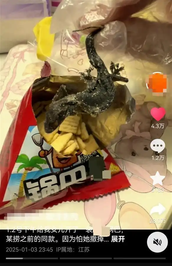 女子在曹氏鸭脖麻辣烫中吃出壁虎_锅巴内发现油炸壁虎_油炸壁虎锅巴事件