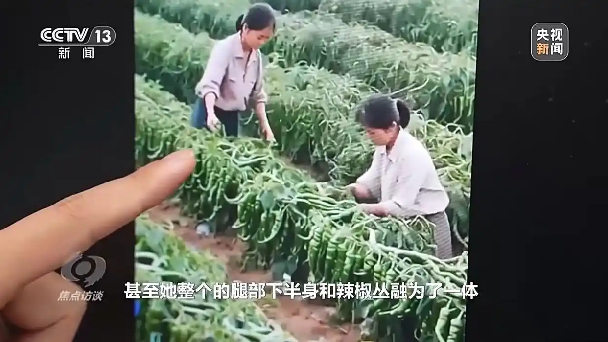 央视揭秘ai带货“李鬼”_AI仿冒带货_AI虚假宣传