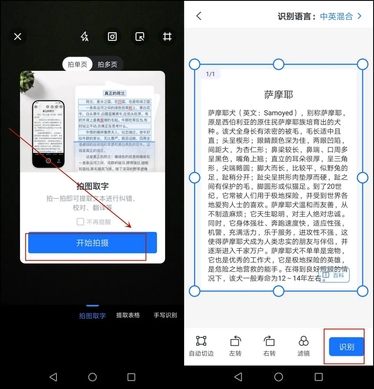 图片文字识别软件_字图片你可以问我问题_OCR看图识字工具