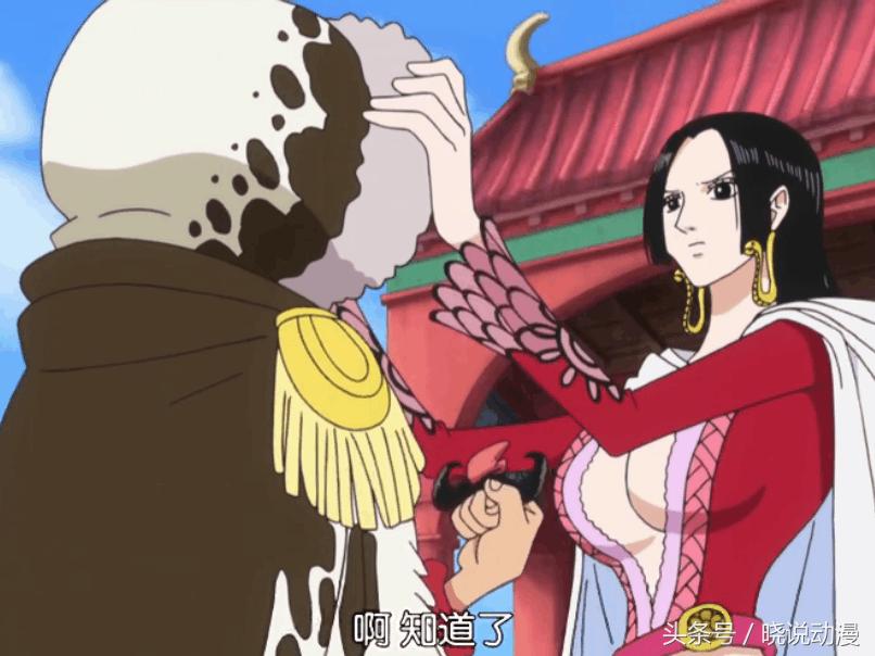 海贼王追逐草帽大冒险_海贼王假草帽团 识别真假 315消费者权益日