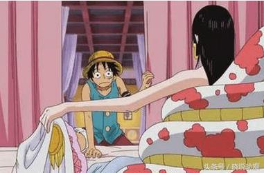 海贼王追逐草帽大冒险_海贼王假草帽团 识别真假 315消费者权益日