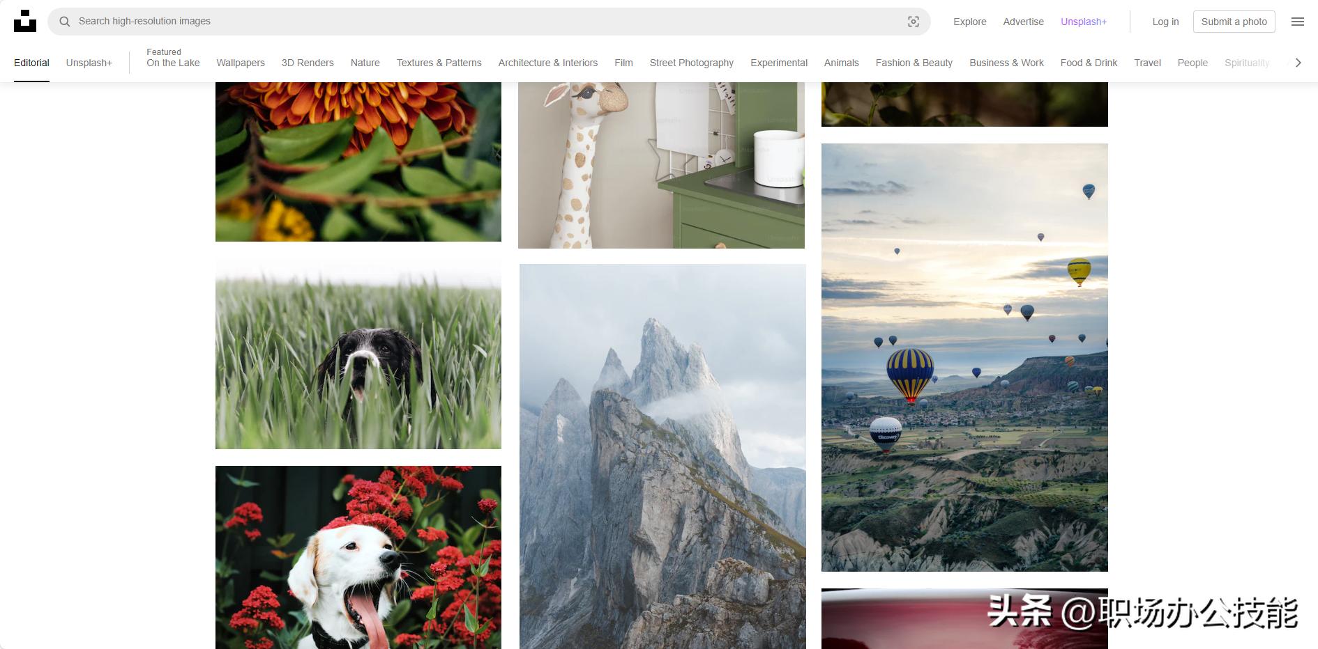 免费高质量图片下载_无版权图片素材网站_再也没有下载