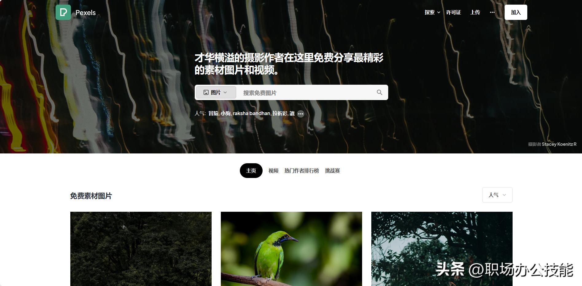 无版权图片素材网站_免费高质量图片下载_再也没有下载