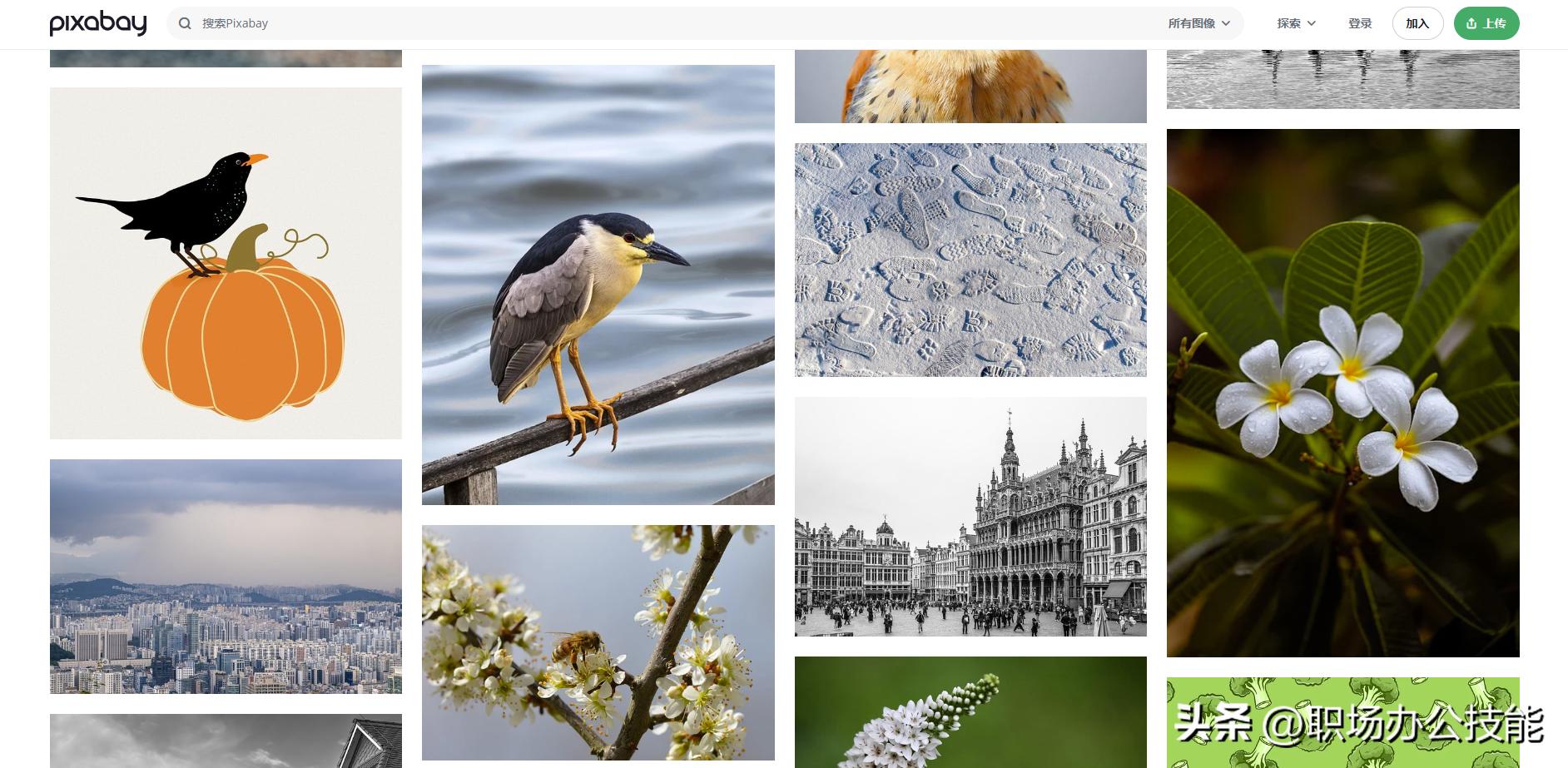 免费高质量图片下载_无版权图片素材网站_再也没有下载