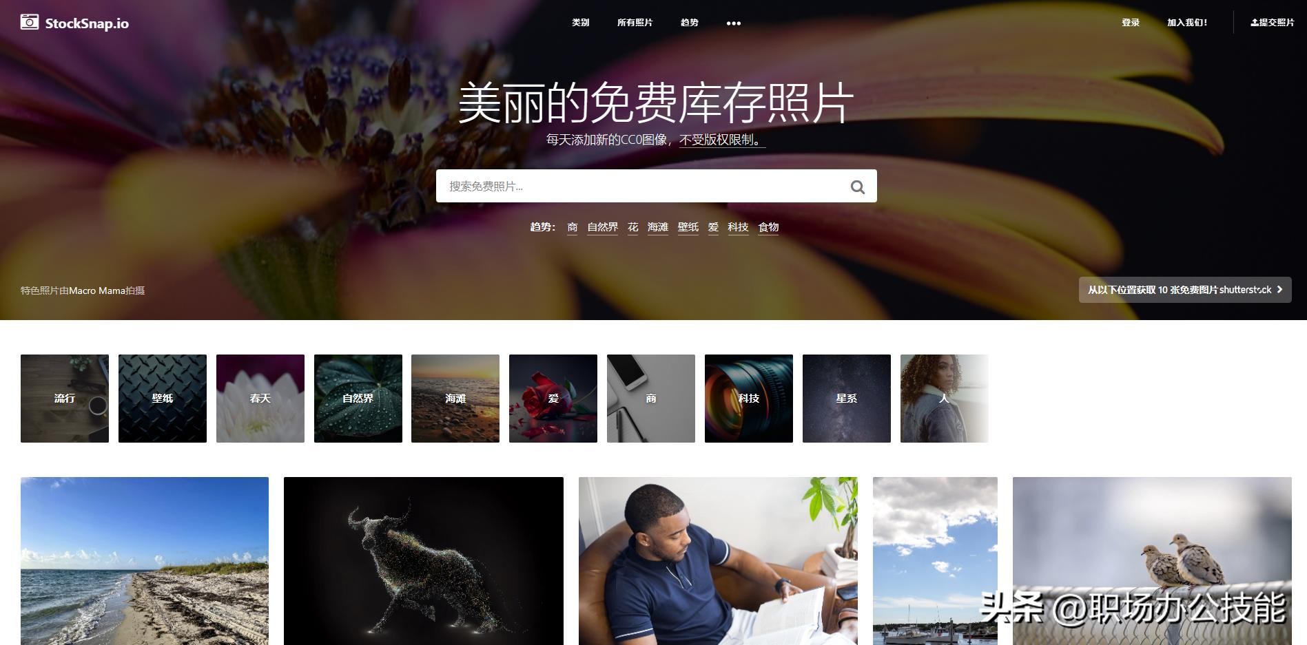 再也没有下载_免费高质量图片下载_无版权图片素材网站