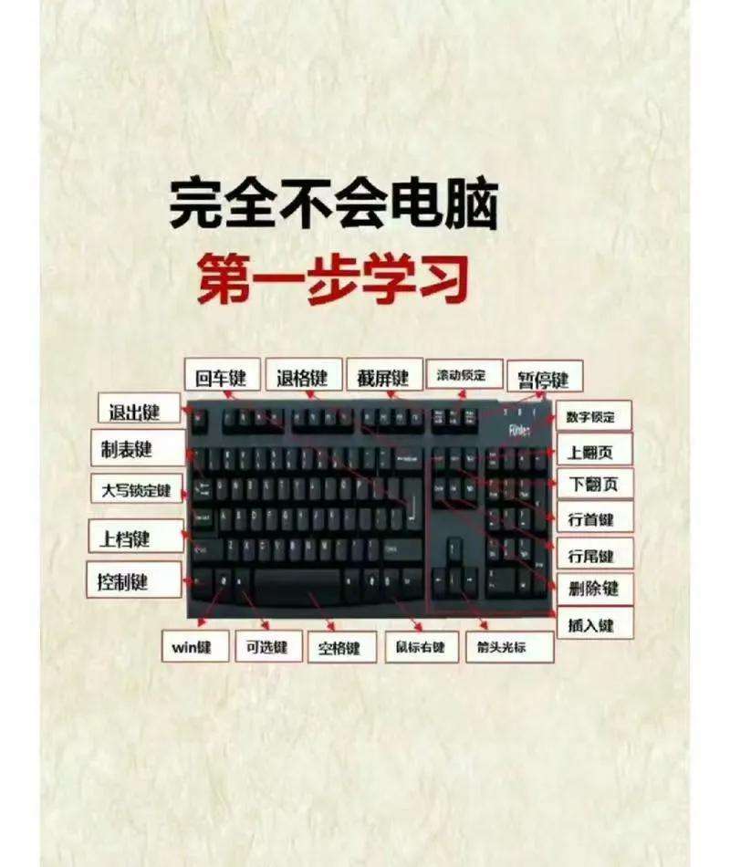 家庭教育引导不足电脑操作_00后电脑基础知识缺失_新电脑上没有word