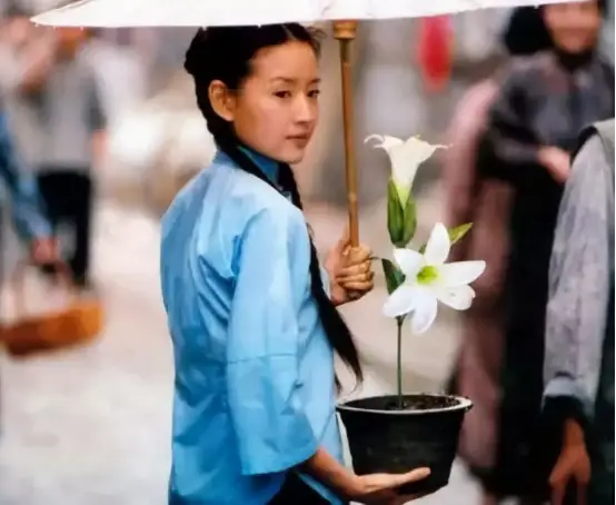 陈坤北影影帝经历_金粉世家陈坤董洁刘亦菲_金粉世家金梅丽