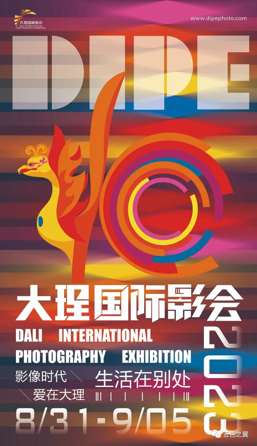  王红 军人 摄影师 _老山战役 王红 战斗经历 _王红战地记者