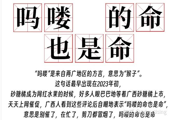 鼠鼠火箭_卡皮巴拉豚门文化_年轻人动物表情包