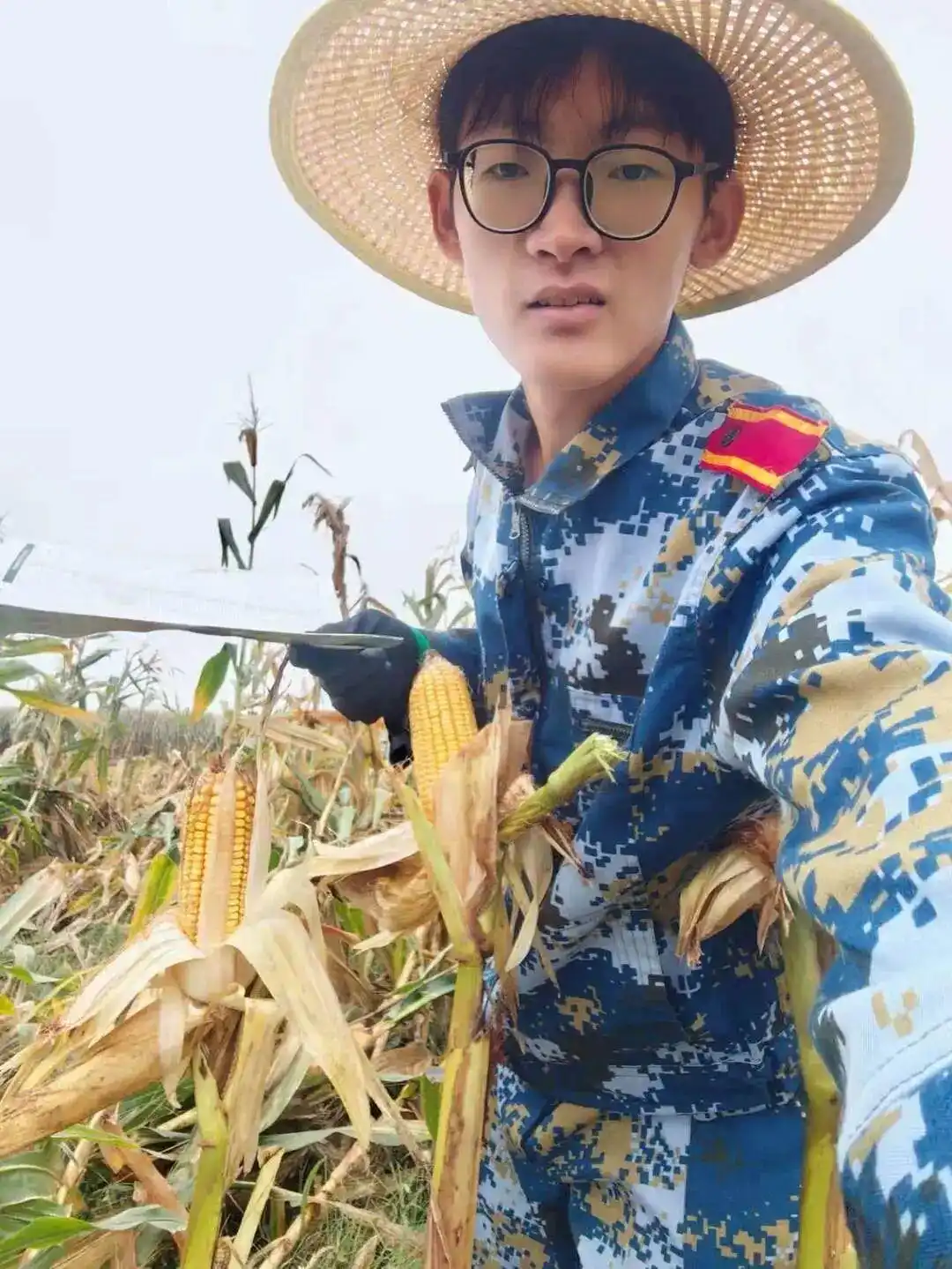 孟成大学生国庆回家掰玉米_大学生掰玉米孝顺_大学生8天假期掰了7天半玉米