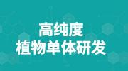 离合控制技巧_新手开车熄火_新手上路