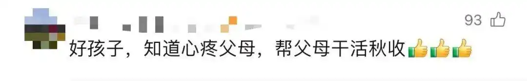 国庆假期在家掰玉米_大学生国庆掰玉米_大学生8天假期掰了7天半玉米