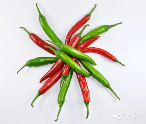 防暑小常识_怕热的美女_夏季养生食谱