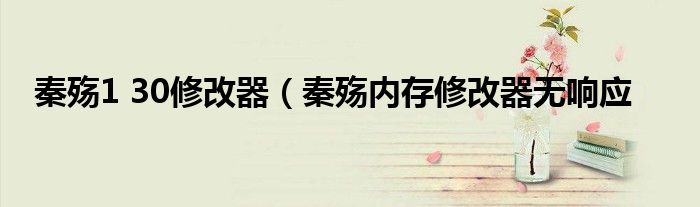 秦殇1 30修改器（秦殇内存修改器无响应