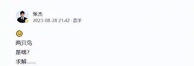 张杰被冤屈经历_张杰娱乐新闻_张杰假唱事件