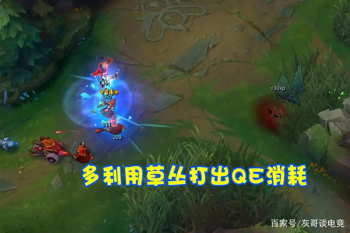 辅助冰鸟掠食者玩法_冰魂出装_极速流冰鸟出装符文