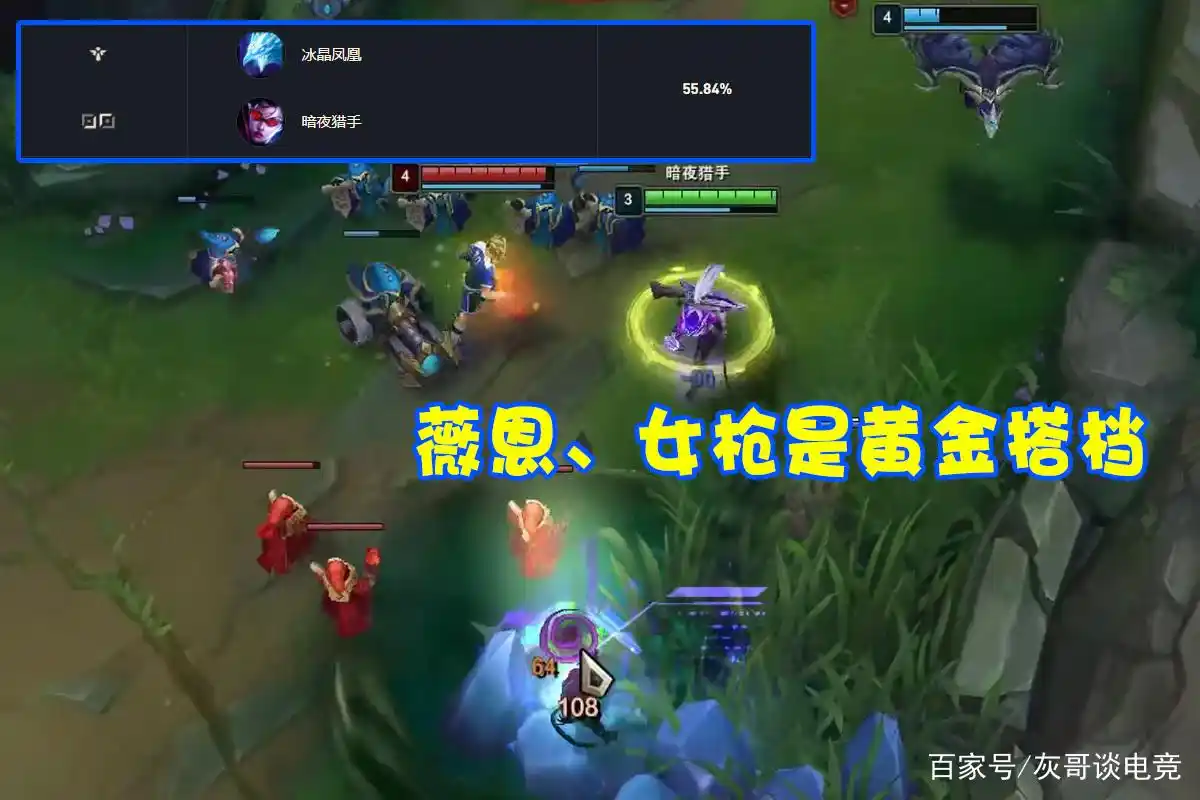 极速流冰鸟出装符文_辅助冰鸟掠食者玩法_冰魂出装