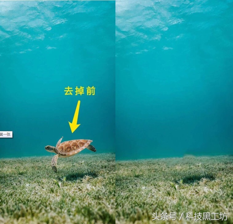 视频剪辑软件 无水印视频提取神器 手机图片水印处理工具_会声会影10注册机下载