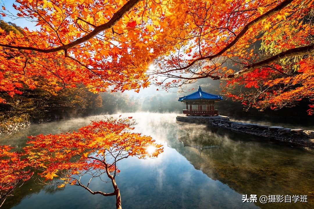 如何用18一140的镜头拍郁金香_手机摄影技巧分享_日常摄影技巧