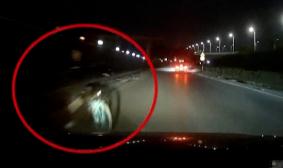 高速路碰瓷防范_高速公路碰瓷_高速碰瓷党