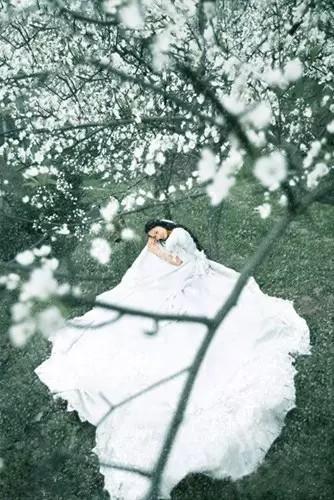 花卉人像拍摄技巧_如何用18一140的镜头拍郁金香_拍出唯美人像的七个要点