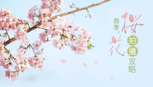 拍出唯美人像的七个要点_如何用18一140的镜头拍郁金香_花卉人像拍摄技巧