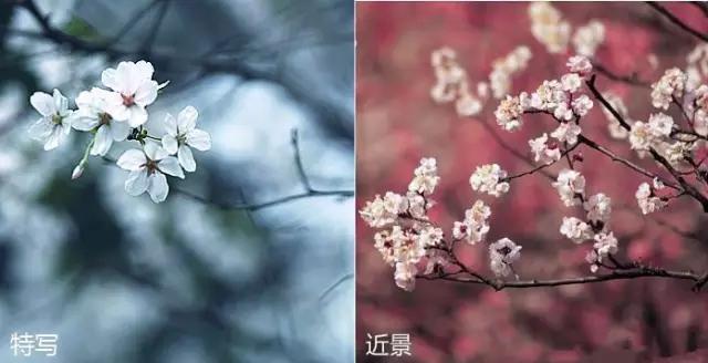 拍出唯美人像的七个要点_如何用18一140的镜头拍郁金香_花卉人像拍摄技巧