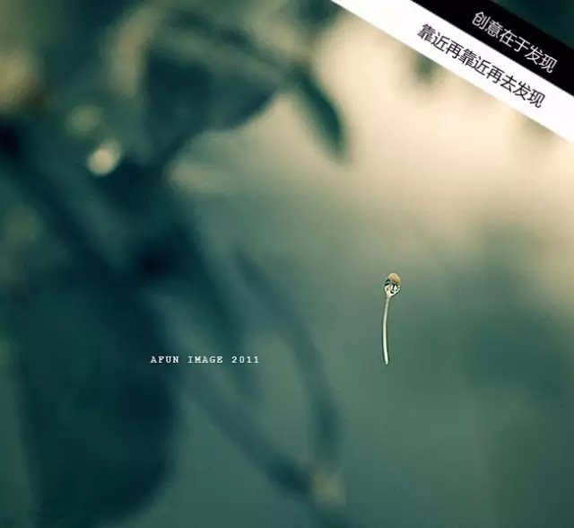 如何用18一140的镜头拍郁金香_花卉人像拍摄技巧_拍出唯美人像的七个要点