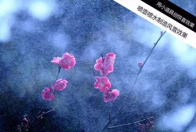 花卉人像拍摄技巧_如何用18一140的镜头拍郁金香_拍出唯美人像的七个要点