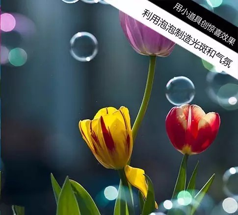 如何用18一140的镜头拍郁金香_拍出唯美人像的七个要点_花卉人像拍摄技巧