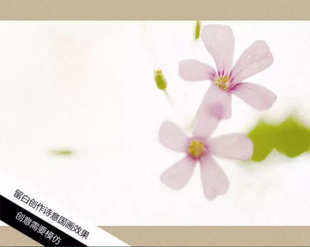 如何用18一140的镜头拍郁金香_花卉人像拍摄技巧_拍出唯美人像的七个要点