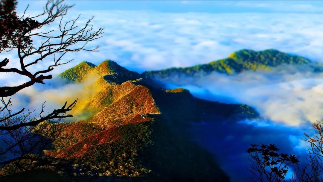 重庆最美旅游景点 金佛山 巫山小三峡_中国最美景点排行榜