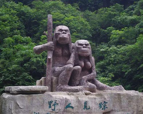 驴友评选的