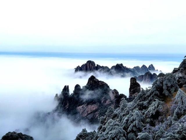 驴友评选的