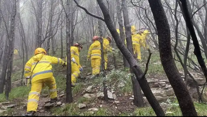 山东济南29岁失联男子确认身亡_济南玉函山失联男子搜救_苏阳阳济南搜救进展