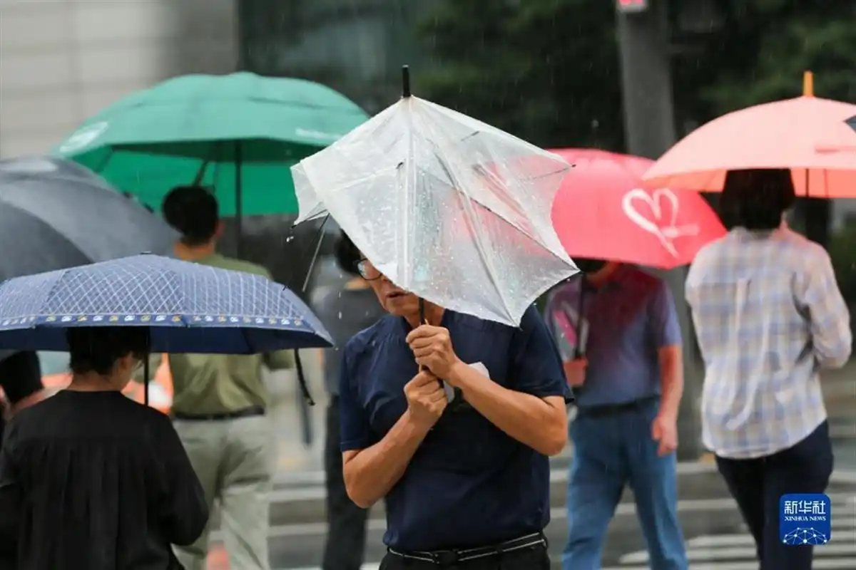 韩国气象女主播：下周末全国都有雨_中国沙尘暴影响韩国天气_韩国雾霾导致暴雨