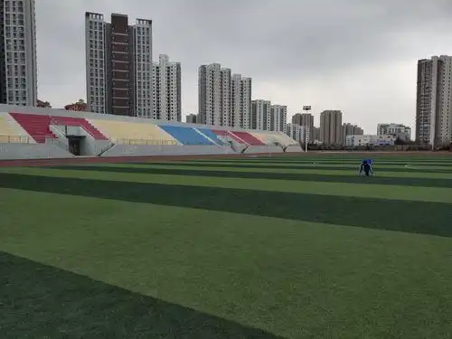 东星航空破产真相下载_兰世立 东星航空 兴衰