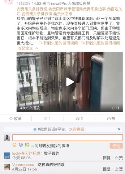 贵州的猴子已经进化到上班了_贵阳市观山湖区猴子扰民_中铁逸都国际小区猴子事件