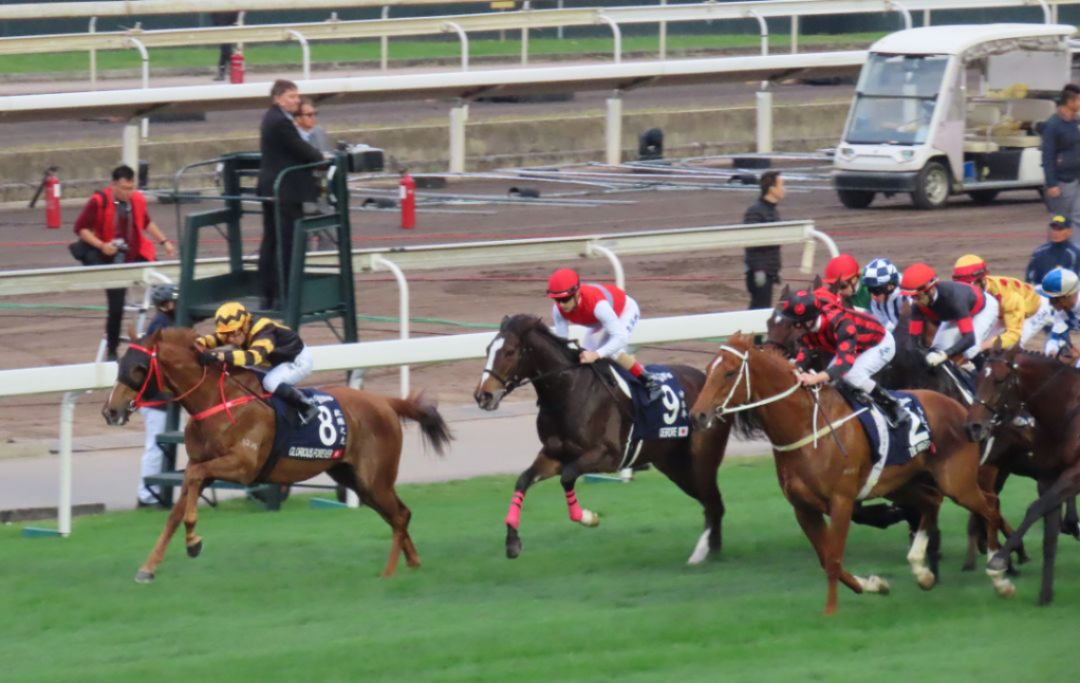 澳门赛马会_澳门特区政府解除赛马专营批给合同_2024年4月1日澳门赛马活动终止