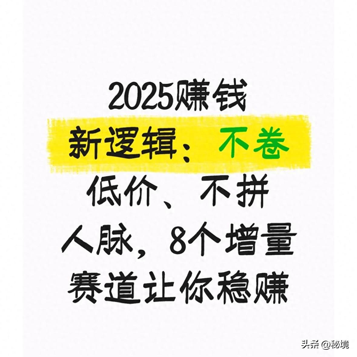 2025赚钱新逻辑：不卷低价、不拼人脉，8个增量赛道让你稳赚