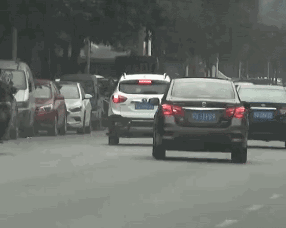 第一位碰瓷党_团伙碰瓷诈骗案_武汉交警侦破碰瓷案