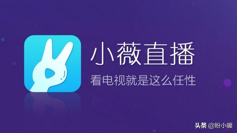 网络电视直播软件_可以看海外电视的软件_免费电视直播应用