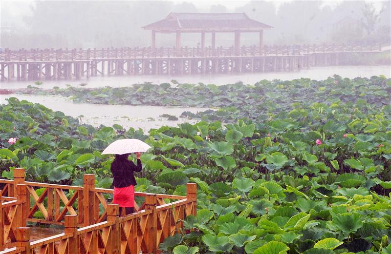 华北地区极端暴雨成因分析_北京罕见暴雨灾害应对措施_北京这场冰雹为何如此猛烈